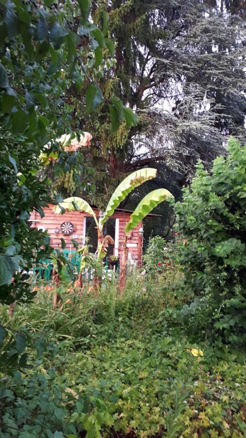 Le Jardin Des Merveilles Saint-Pierre-d'Autils ภายนอก รูปภาพ